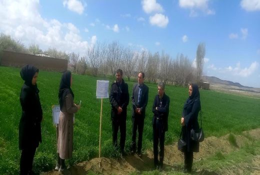 توسعه آبیاری نوین و تغییر الگوی کشت از راهکارهای جبران کم آبی  در حوضه دریاچه ارومیه