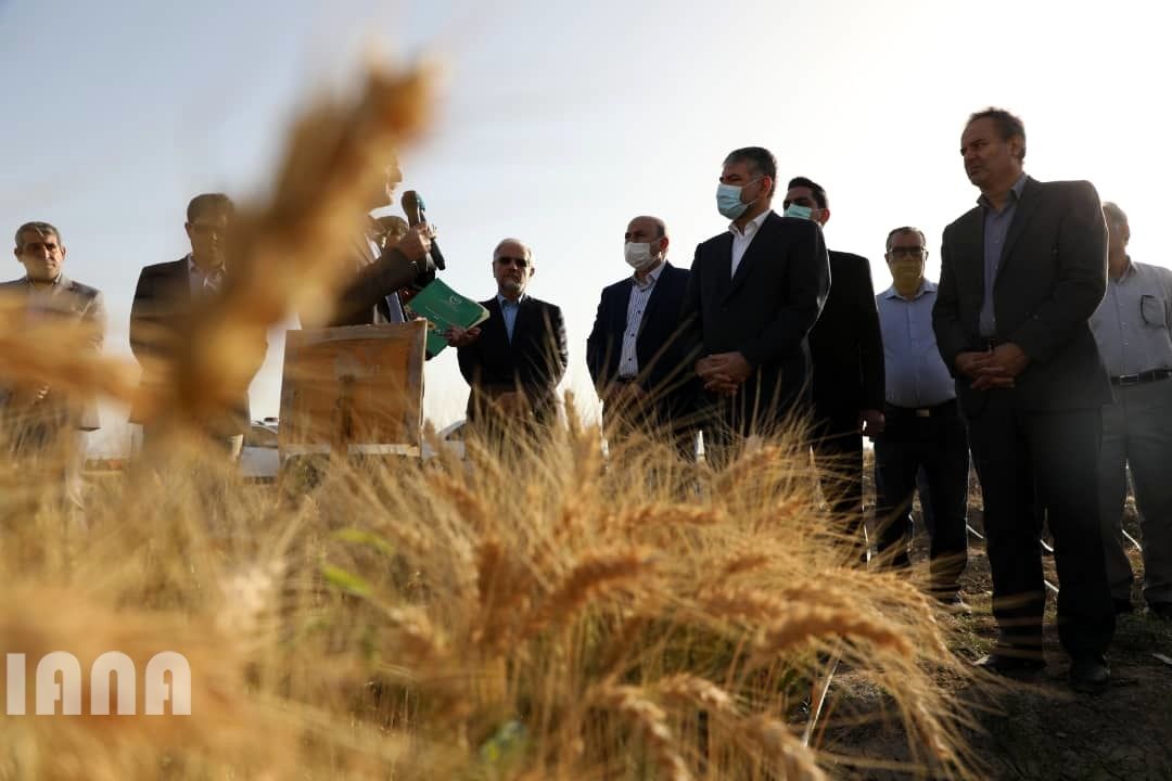 WhatsApp Image 2022-06-14 at 10.06.31 AM