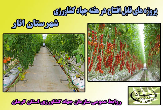 یک واحد گلخانه هیدروپونیک در شهرستان انار در هفته جهاد کشاورزی به بهره برداری می رسد.