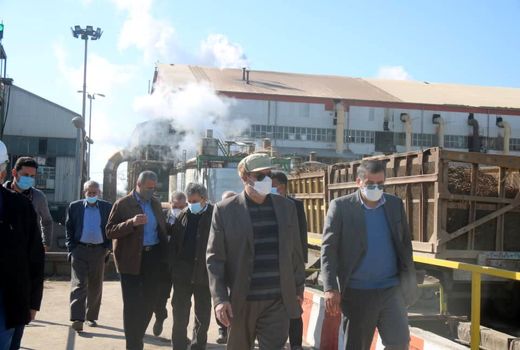 تامین شکر با توسعه شرکت‌های کشت و صنعت خوزستان