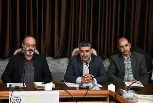 کشت زعفران در بیش از ۴۲۲ هکتار اراضی آذربایجان شرقی