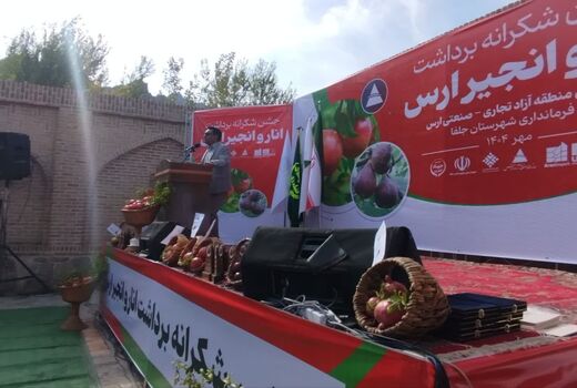 جلفا، رتبه اول تولید انار و انجیر در آذربایجان شرقی  / صادرات انار ارگانیک به کشورهای همسایه