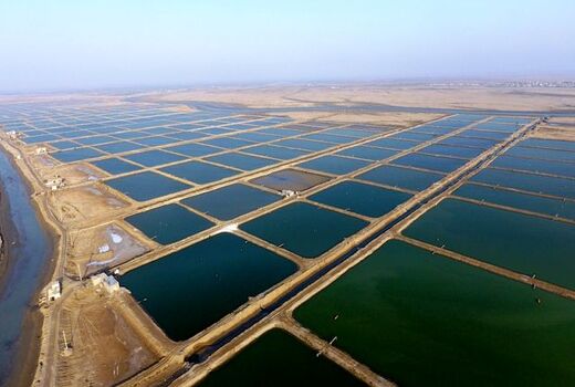 فراهم ساختن زیرساخت‌های لازم جهت سرمایه‌گذاری در حوزه شیلات خوزستان 