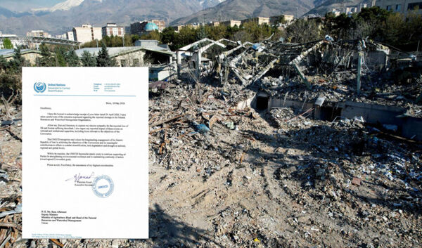 ابراز همدردی دبیر اجرایی UNCCD با ایران در پی حمله به سازمان منابع طبیعی