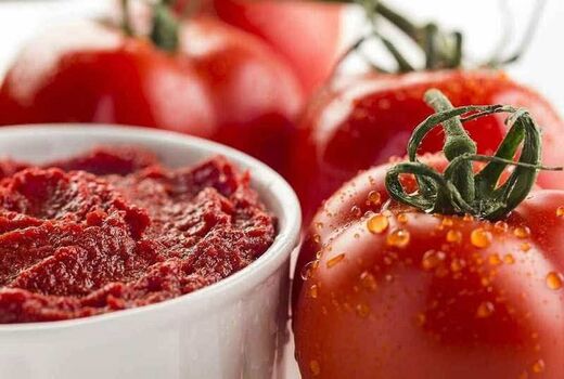  صادرات 1150 تن رب گوجه فرنگی به کشور روسیه