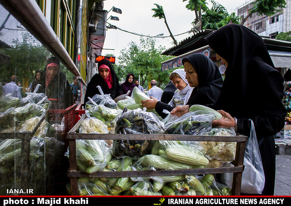 نوبرانه‌های رنگی