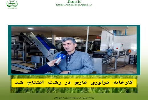 کارخانه فرآوری قارچ رشت افتتاح شد