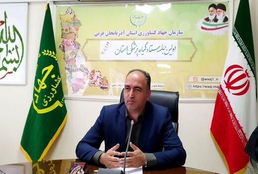 مبارزه به موقع با آفات، سرمایه‌گذاری برای تولید پایدار است