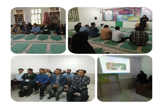 آشنایی و مقابله با آفات و بیماری‌های گندم در مزارع هندیجان
