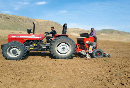 اجرای طرح  کشت ارقام مشارکتی گندم در شهرستان هوراند