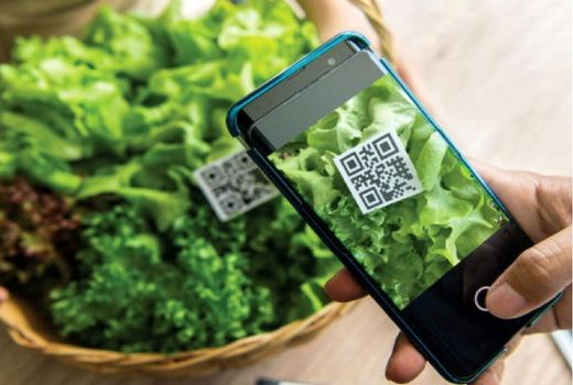 الزام اخذ کدQR برای محصولات کشاورزی