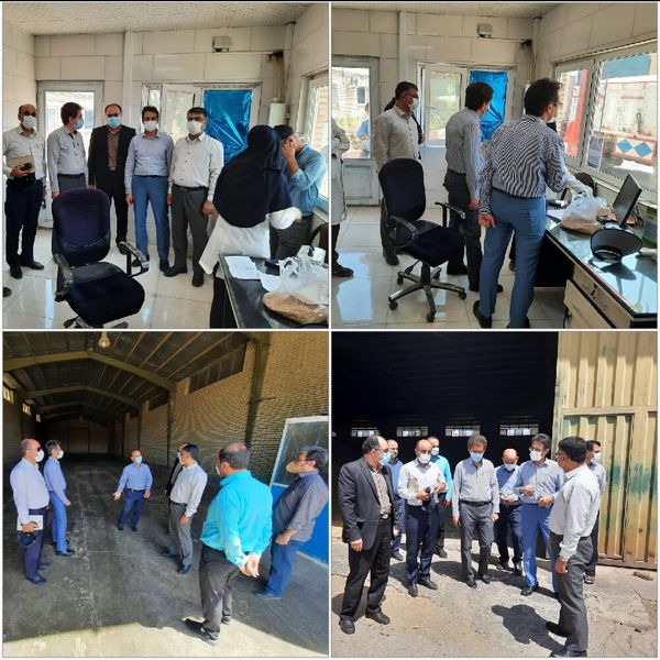بازدید معاون بهبود تولیدات گیاهی سازمان جهاد کشاورزی استان قزوین از مراکز خرید تضمینی گندم و کلزا