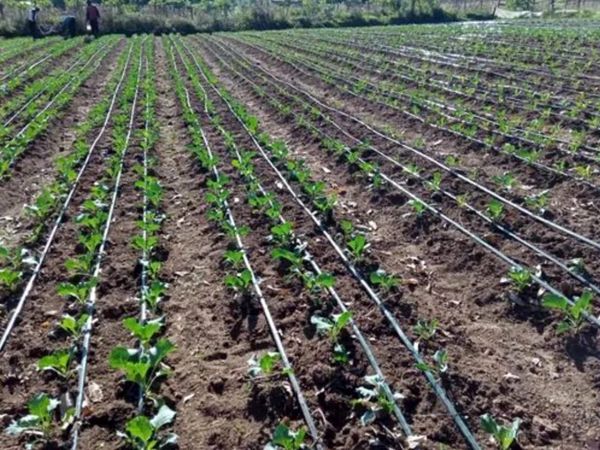 تجهیز بیش از ۷۲ هزار هکتار از اراضی کشاورزی استان آذربایجان غربی به سیستم های آبیاری نوین