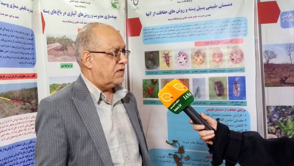 بیش از ۵۰۰ فعالیت تحقیقاتی مکتوب در حوزه پسته انجام شد