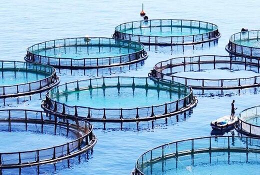 هفتمین نمایشگاه بین‌المللی شیلات، آبزیان، ماهیگیری، غذاهای دریایی و صنایع وابسته 