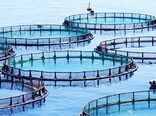 هفتمین نمایشگاه بین‌المللی شیلات، آبزیان، ماهیگیری، غذاهای دریایی و صنایع وابسته 