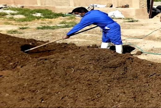 زنان روستایی مرودشت در تولید کمپوست توانمند می‌شوند