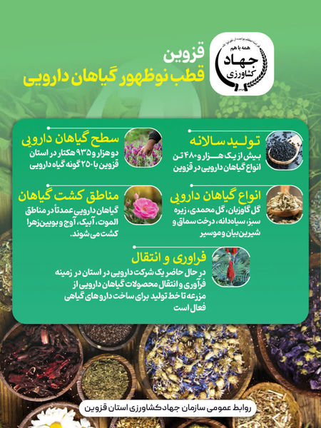 اینفوگرافی | قزوین قطب نوظهور گیاهان دارویی