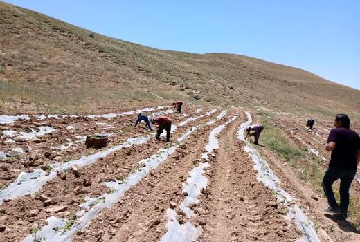حفاظت از خاک، خط قرمز سازمان جهاد کشاورزی آذربایجان شرقی