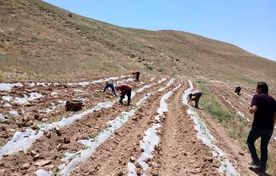 حفاظت از خاک، خط قرمز سازمان جهاد کشاورزی آذربایجان شرقی