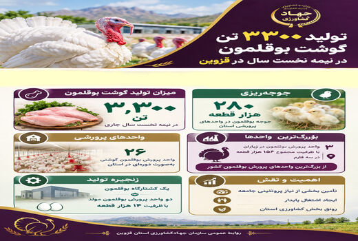  تولید ۳۳۰۰ تن گوشت بوقلمون در نیمه نخست سال در استان قزوین