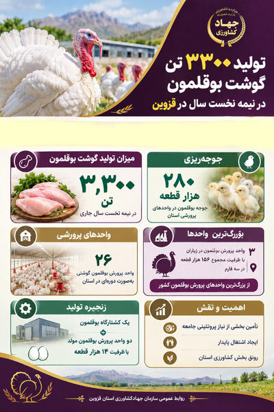  تولید ۳۳۰۰ تن گوشت بوقلمون در نیمه نخست سال در استان قزوین