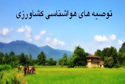 توصیه های هواشناسی کشاورزی به بهره برداران استان تهران اعلام شد