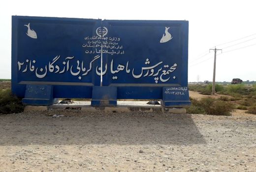 افتتاح کانال های آبرسان فاز ۲ مجتمع پرورش ماهیان گرمابی آزادگان کارون