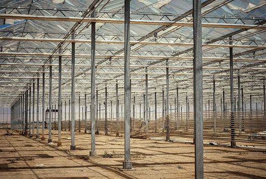 بهره برداری از گلخانه هیدروپونیک در استان لرستان با حمایت بانک کشاورزی