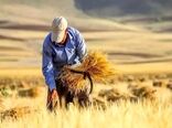 ۲۷۵ همت از مطالبات گندم‌کاران پرداخت شد/هدف‌گذاری برای پرداخت ۹۰ درصد مطالبات گندم‌کاران 