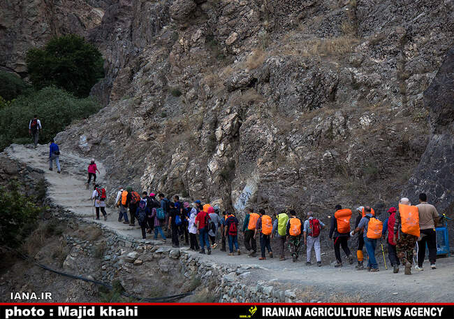 کوه پیمایی