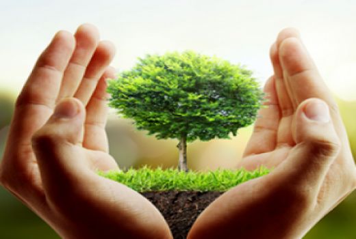 شعار امسال هفته منابع طبیعی؛ همه با هم جهاد برای حفاظت از منابع طبیعی
