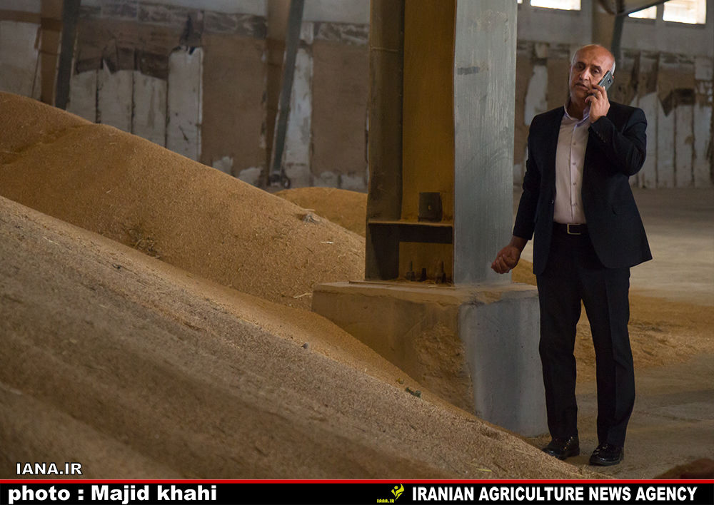 بازدید از کارخانه آرد