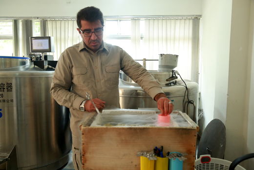   مرکز ملی ژنتیک دامی   