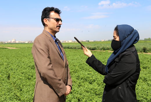  تولید  علوفه در کشور سالانه 5 درصد افزایش می‌یابد