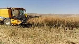 ۵۸ هزار تن گندم و جو در تویسرکان برداشت می‌شود