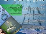 چالش ها و چشم اندازهای توسعه آبزی پروزی در حوزه دریای خزر
