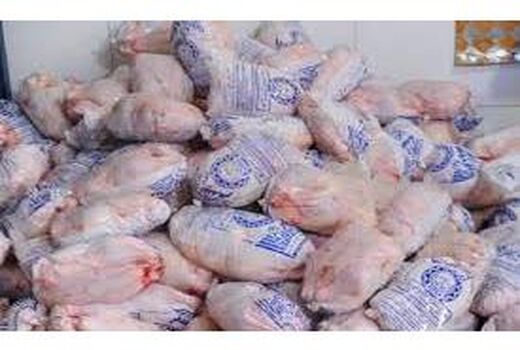 تولید 7300 تنی گوشت سفید در محمودآباد/ارزش اقتصادی 4200 میلیاردی