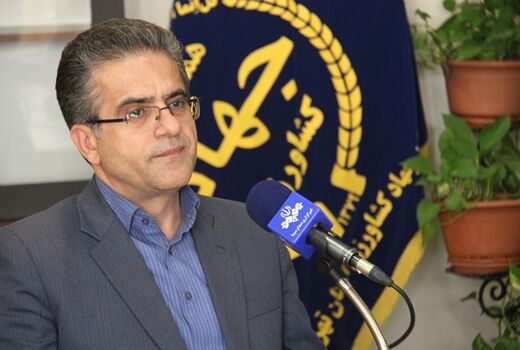 883هکتار از اراضی مرغوب کشاورزی استان تهران امسال به چرخه تولید کشاورزی بازگشت