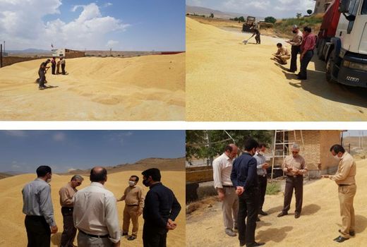 تمامی وقایع ورود و خروج در مراکز خرید گندم ثبت و مستندسازی می شود