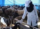 طرح واکسیناسیون علیه بیماری «لمپی اسکین» در شهرستان  شهربابک آغاز شد