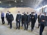 نایب رییس کمیسیون کشاورزی مجلس از بندرشهید رجایی بازدید کرد