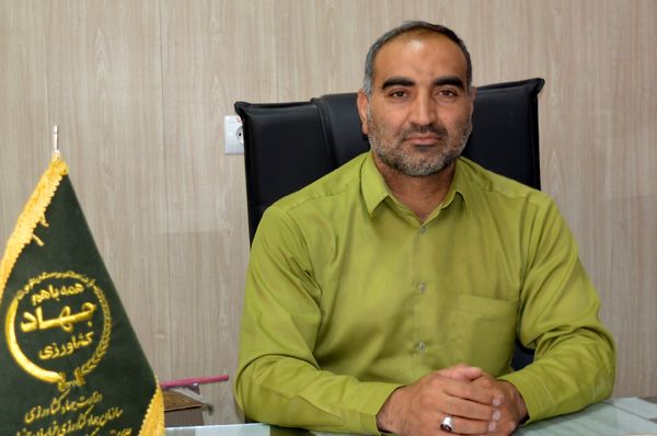 آغاز برداشت گوجه فرنگی در خوسف