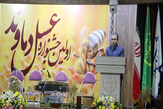 نیمی از عسل استان تهران در دماوند تولید می شود