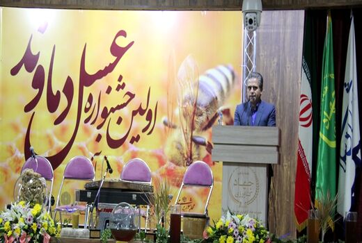 نیمی از عسل استان تهران در دماوند تولید می شود