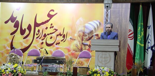 نیمی از عسل استان تهران در دماوند تولید می شود