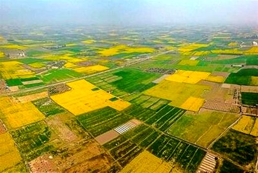 
تدوین نقشه جامع کاربری اراضی آغاز شد/ پایه تصمیم‌سازی برای مدیریت بهینه سرزمین  

 
 