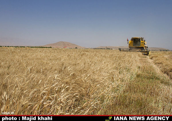 اول خودکفایی بعد ارتقای کیفیت