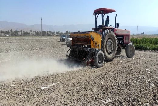 آغاز کشت کلزا در شهرستان زرین دشت
