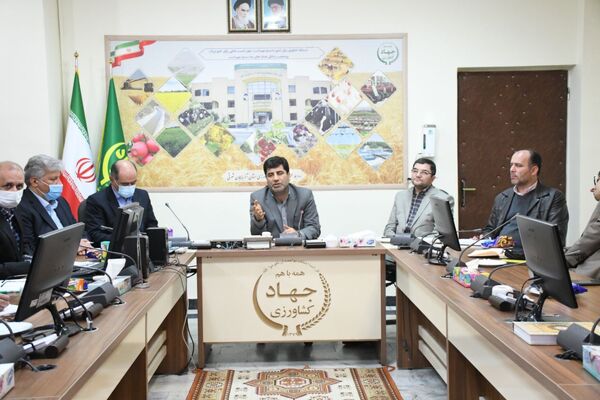 تامین سرمایه در گردش مورد نیاز دامداریهای صنعتی و مرغداریها